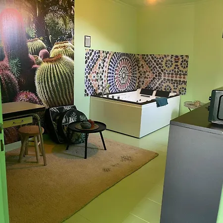 Luxury Magic Cactus Garden, Paris 0rly Avec Jacuzzi شقة فينْيو سور سين